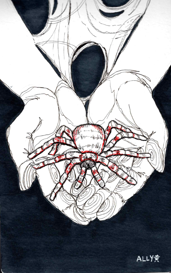 Inktober spider illustration